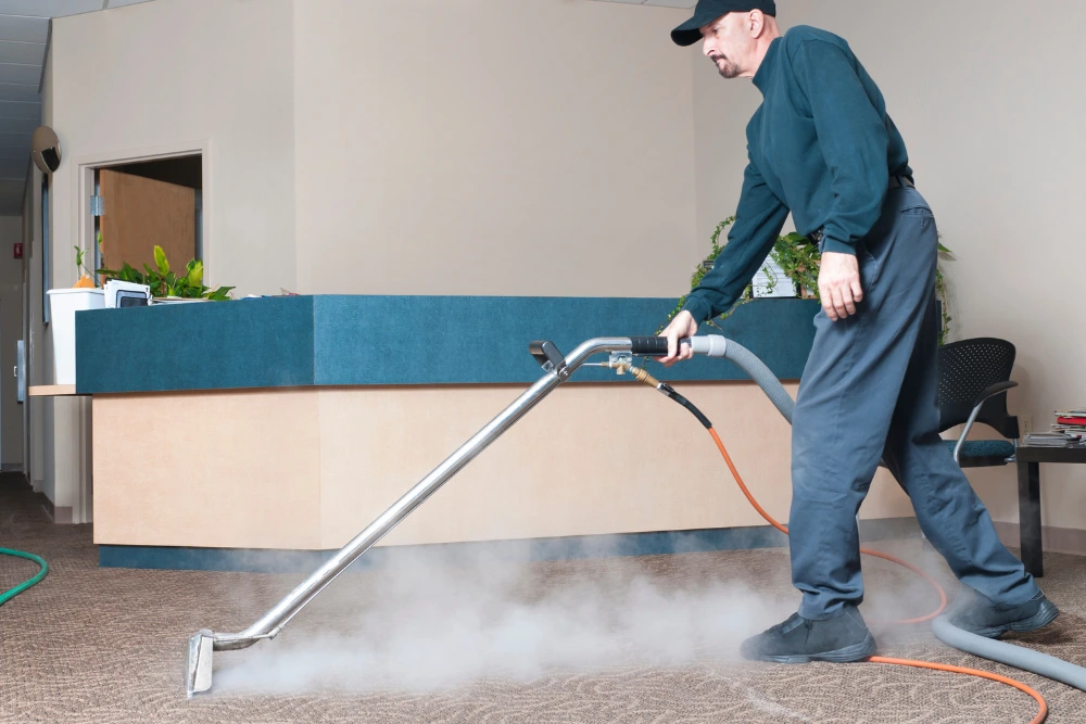 Carpet Steam Cleaner