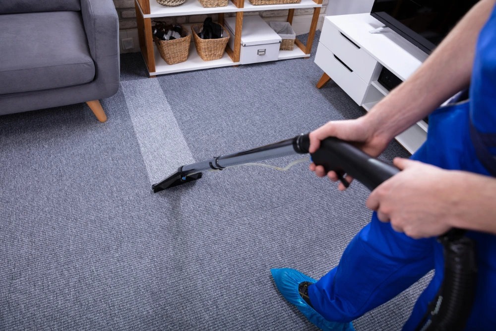 carpet cleaning
