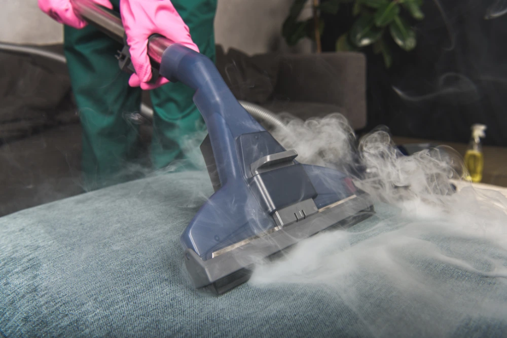 Carpet Steam Cleaner