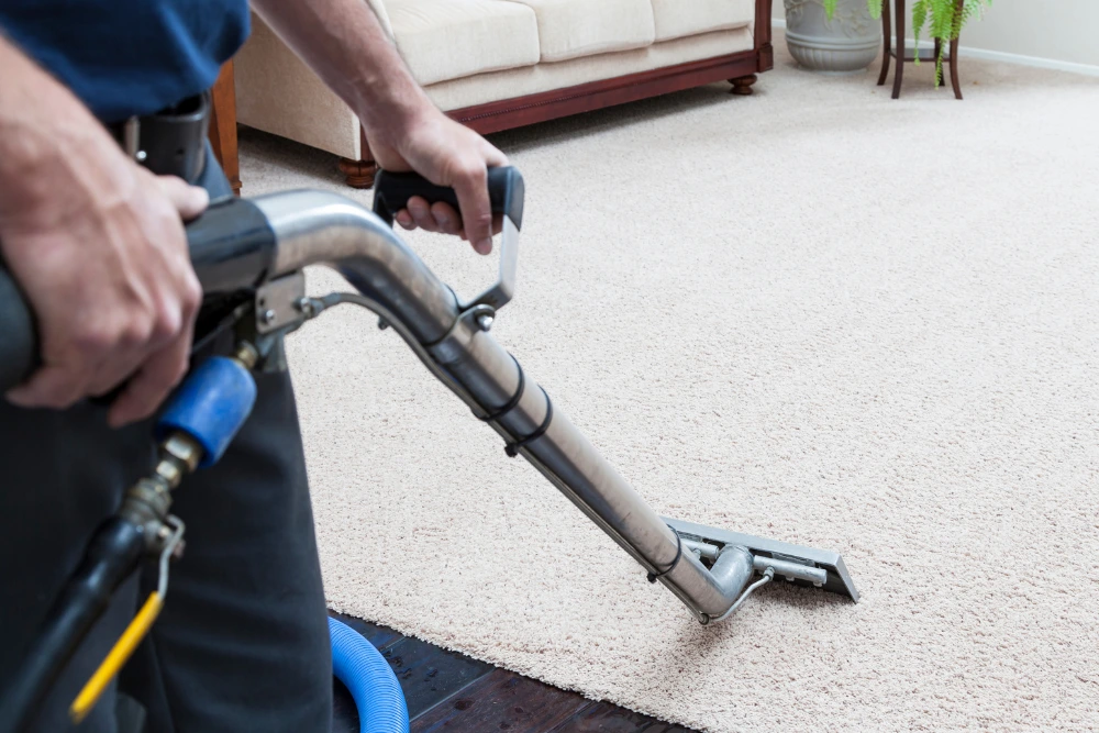 carpet cleaning
