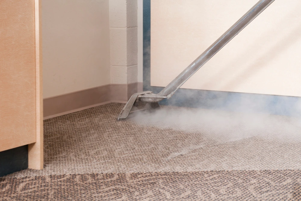 Carpet Steam Cleaner