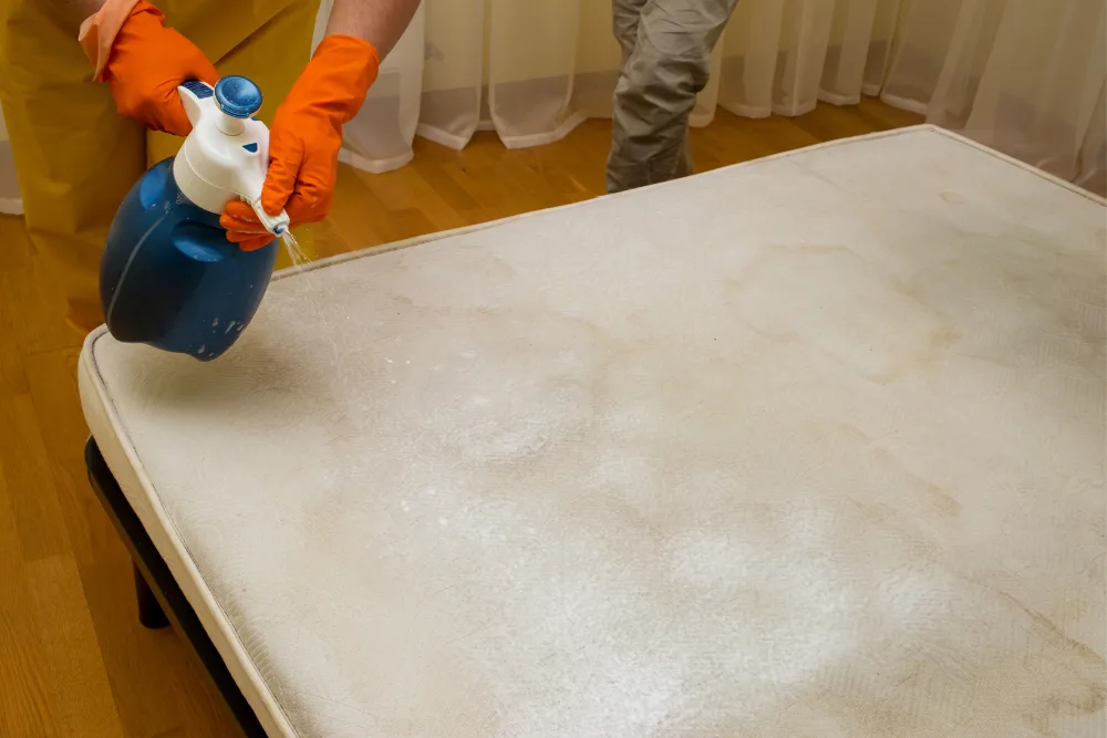 Mattress Cleaning