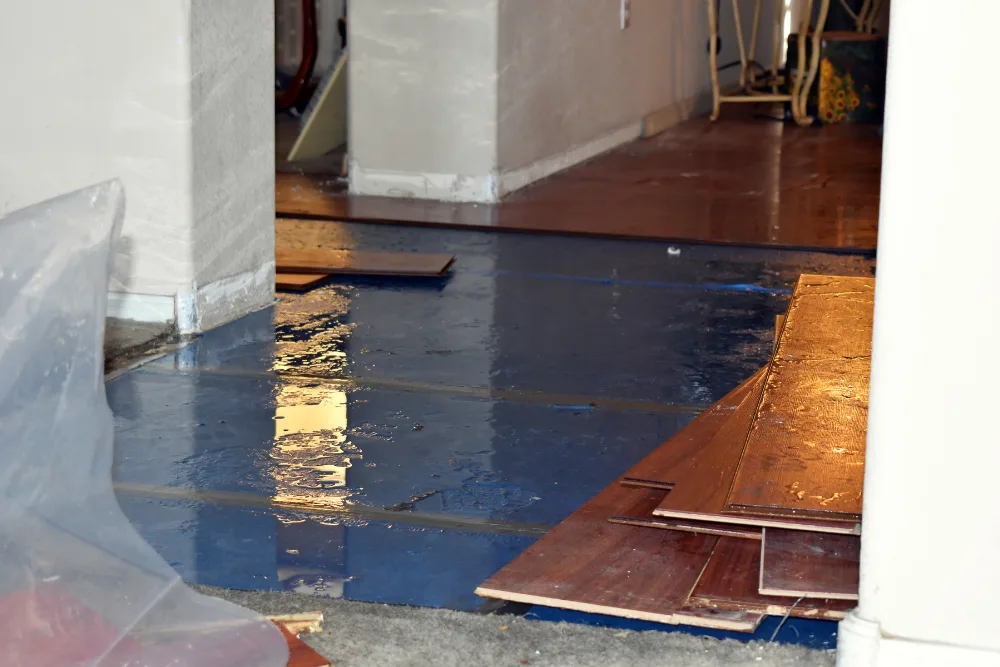 Water Restoration